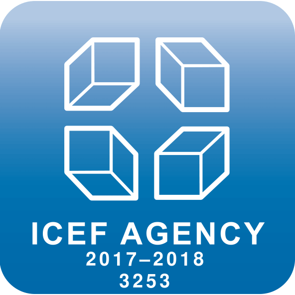 Наш уникальный логотип ICEF