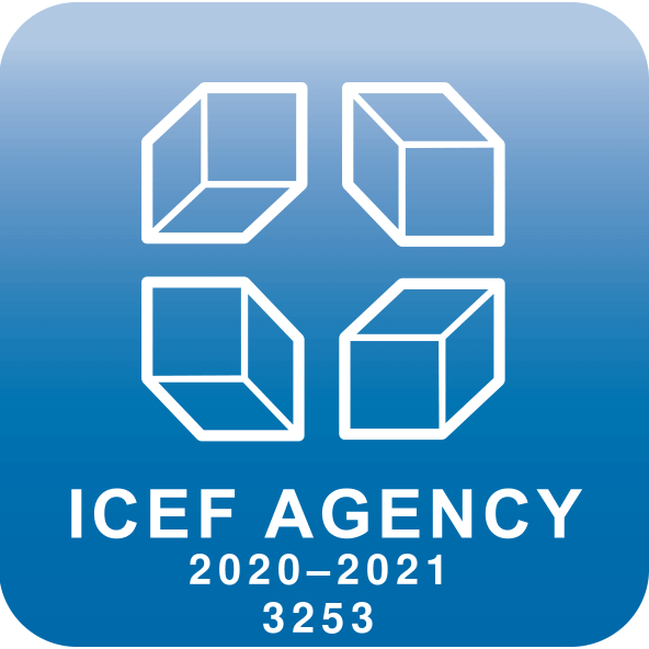 Наш уникальный логотип ICEF